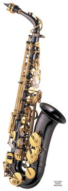 J.MICHAEL AL800BL Alto Saxophone