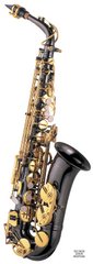 J.MICHAEL AL800BL Alto Saxophone